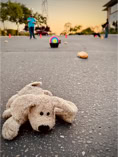 dog trainer standing over dogs and toys and food laid out in a line on parking lot
