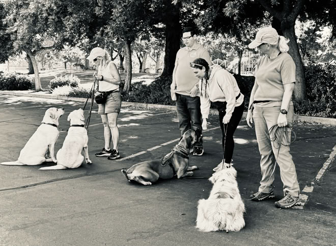woman and dog, dog trainer in parking lot