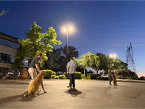 dog, dog training, dog trainer holdign class in a parkign lot in the evening 