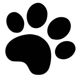 black dog paw print 