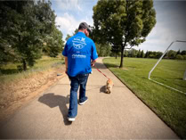 dog, dog training, leash, dog trainer holding leash of cocker spaniel puppy while on a path in a park