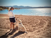 dog, dog training, wo,an in hat and shorts holding the leas of two yellow lab dogs sitting on the beach of a lake, folsom lake