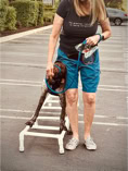dog, dog training, leash, woman helping german short hair pointer on a pvc ladder doing basic dog agility in a parking lot