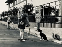 dog, dog training, two women holding the leases of dogs, a pit bull and a labradoodle, in front of an ofifce buildng while dog trainer directs them 