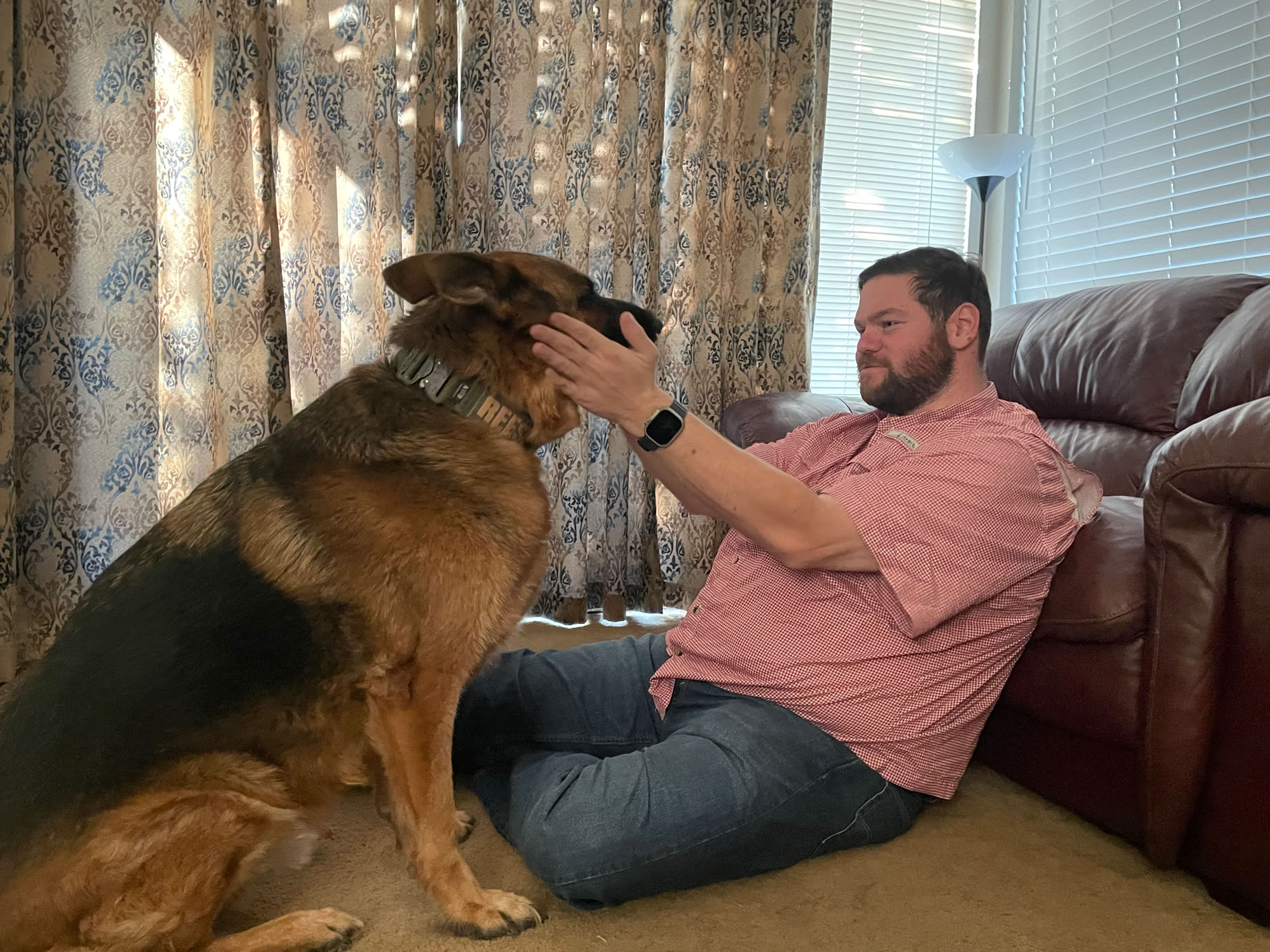 german shepherd dog, dog training, dog trainer, apple watch, dog owner