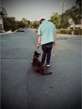 dutch shepherd belgiun malinois in a down positionin parking lot with tall man in jeans, hat and blue plaid shirt holding a ball on a string. 